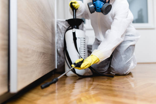 Pest Control Cost in Mount Vernon, WA