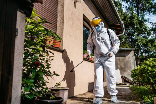 Best Mosquito Control Services  in Mount Vernon, WA