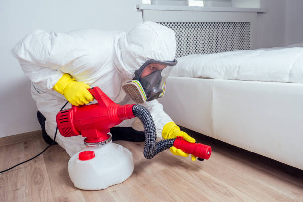 Best Residential Pest Control  in Mount Vernon, WA