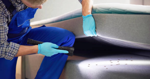Best Insect Control  in Mount Vernon, WA