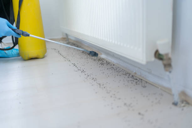 Best Pest Control Near Me  in Mount Vernon, WA