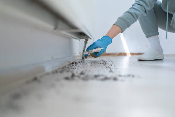 Best Pest Prevention Services  in Mount Vernon, WA