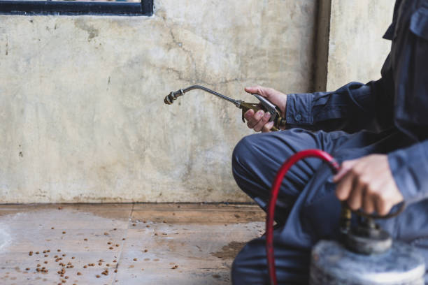Professional Pest Control in Mount Vernon, WA